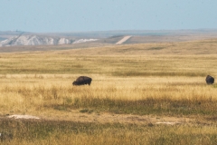 badlands_rushmore-21