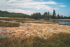 ynp-biscuit-basin-1
