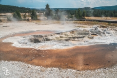 ynp-biscuit-basin-10