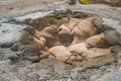 ynp-biscuit-basin-12