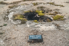ynp-biscuit-basin-6