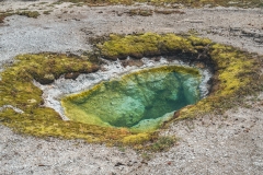 ynp-biscuit-basin-8