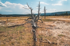 ynp-biscuit-basin-9