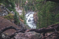 ynp-firehole-1