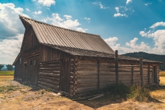 mormon-row-3