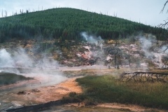 ynp-general-10