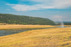 ynp-general-12