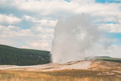 ynp-general-14