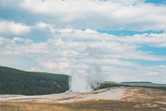 ynp-general-15