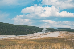 ynp-general-16