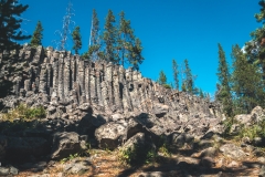 ynp-general-21