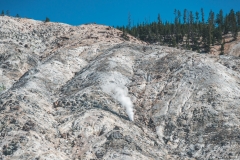 ynp-general-22