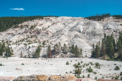 ynp-general-23