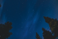 ynp-general-3