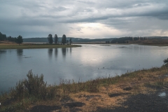 ynp-general-4