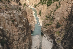 ynp-general-40