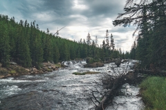 ynp-general-5