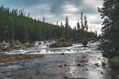 ynp-general-6