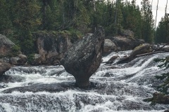 ynp-general-7