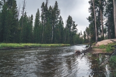 ynp-general-8