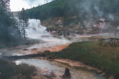 ynp-general-9