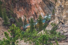 ynp-grand-canyon-13 ynp-grand-canyon-13