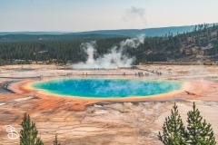 ynp-grand-prismatic-1