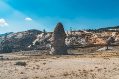 ynp-mammoth-1
