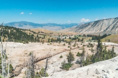 ynp-mammoth-10