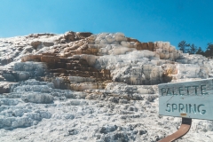 ynp-mammoth-6