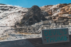ynp-mammoth-7