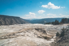 ynp-mammoth-9
