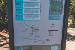 ynp-norris-1
