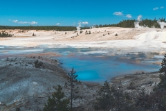 ynp-norris-10