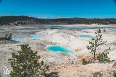 ynp-norris-11