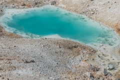 ynp-norris-12