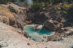 ynp-norris-14