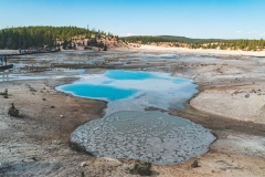 ynp-norris-15