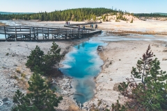 ynp-norris-16