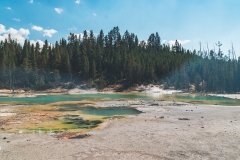 ynp-norris-18