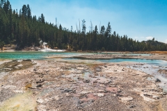 ynp-norris-19