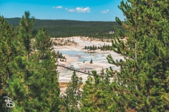 ynp-norris-2