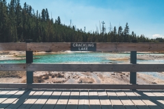 ynp-norris-20