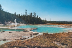 ynp-norris-21