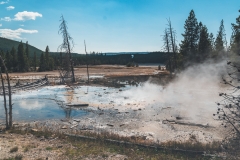 ynp-norris-22