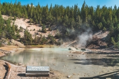 ynp-norris-23