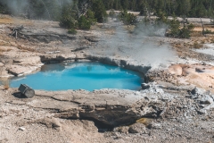 ynp-norris-24