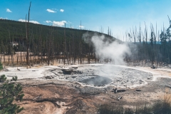 ynp-norris-25