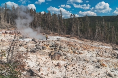 ynp-norris-27