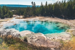ynp-norris-28